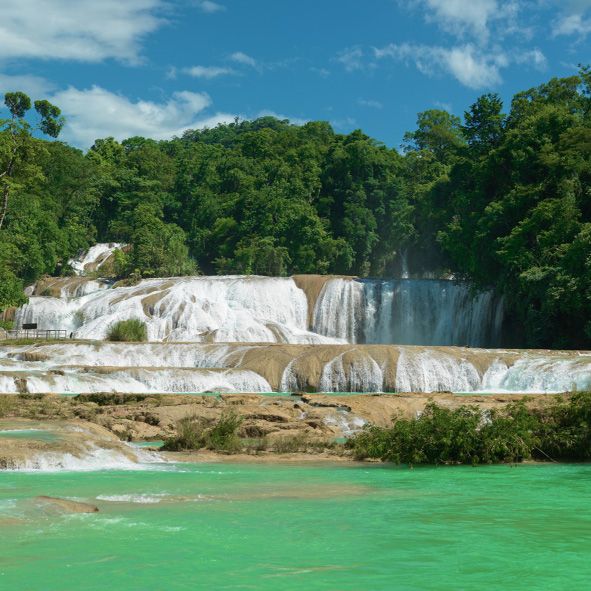Visitar las Cascadas de Agua Azul – CHIAPAS, MARAVILLAS NATURALES